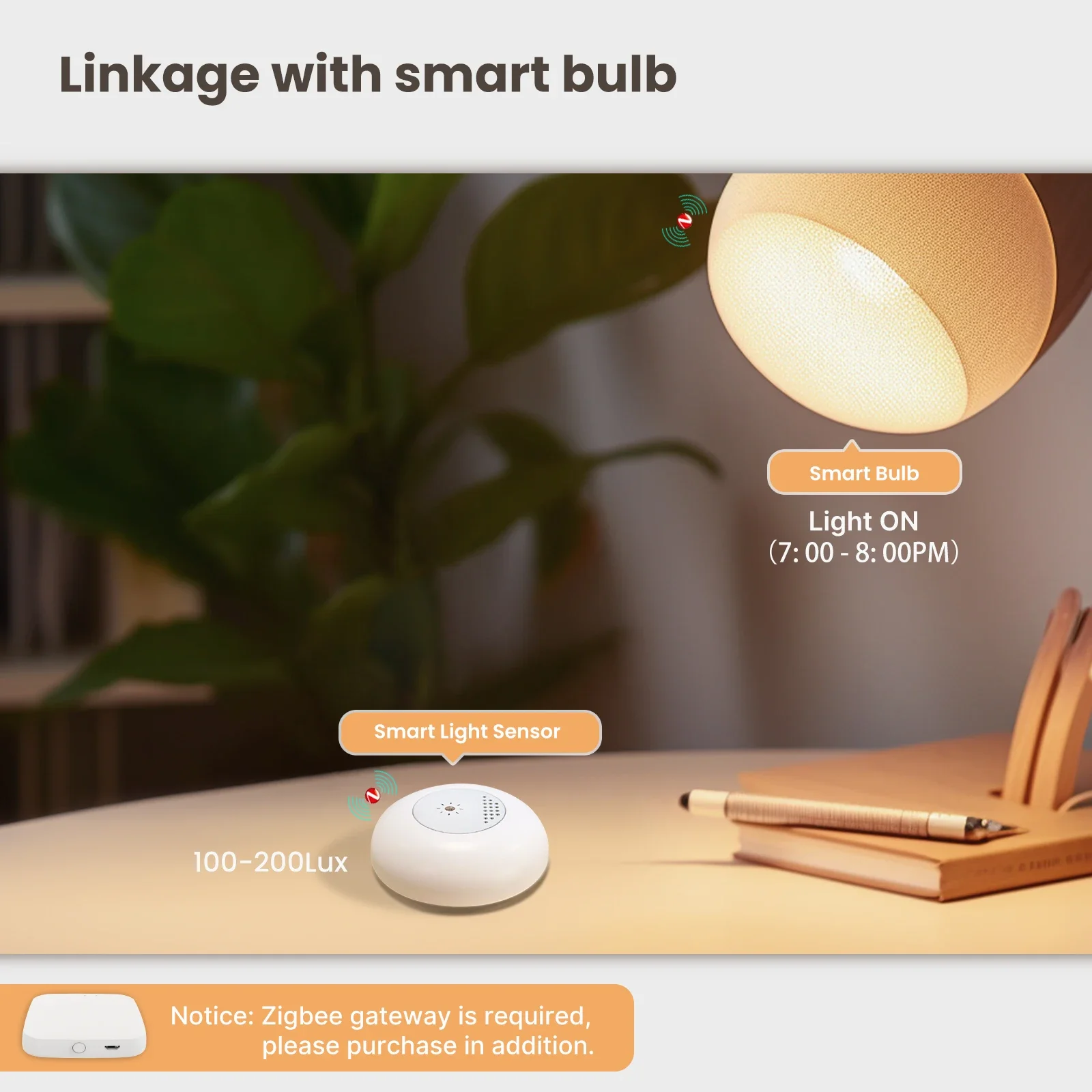 MOES Tuya Zigbee Smart Light S - Home Automation Ideas ulasan dan harga
