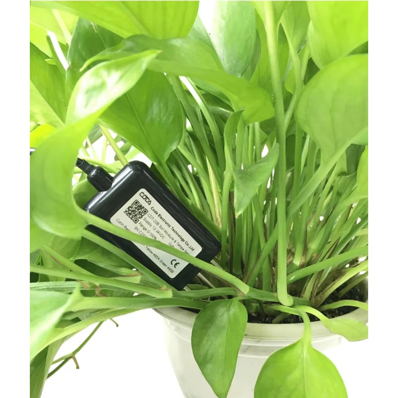 RS485 4-20mA Portable Soil Moi - Temperature Humidity Sensor ulasan dan harga